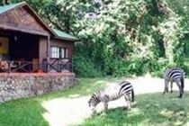 Mount Meru Game Lodge Arusha Extérieur photo